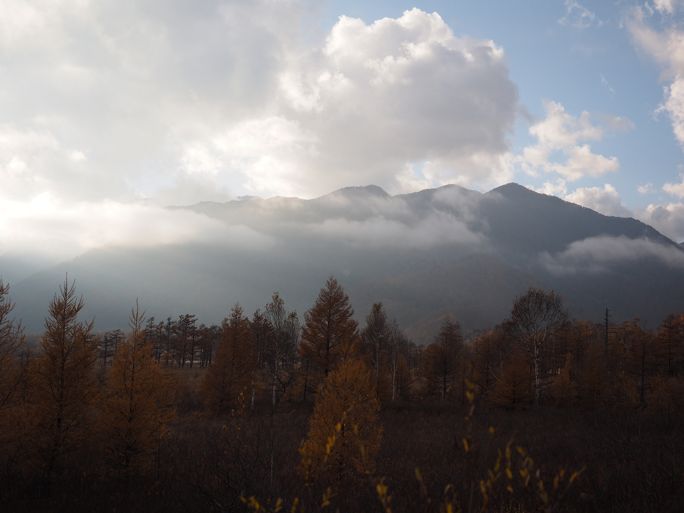PA180937.jpg