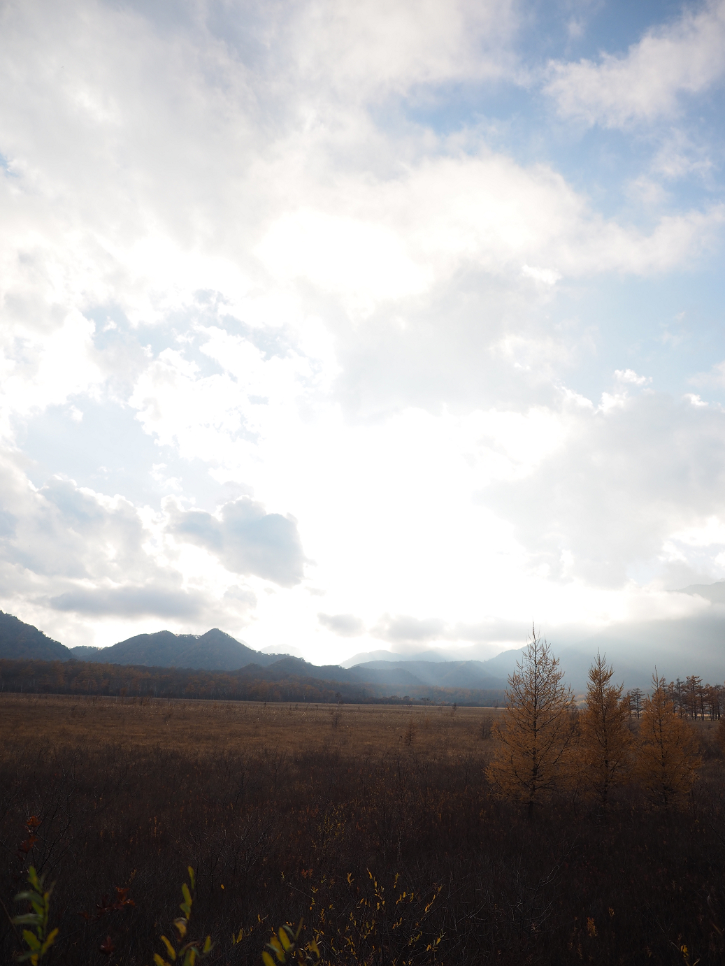 PA180938.jpg