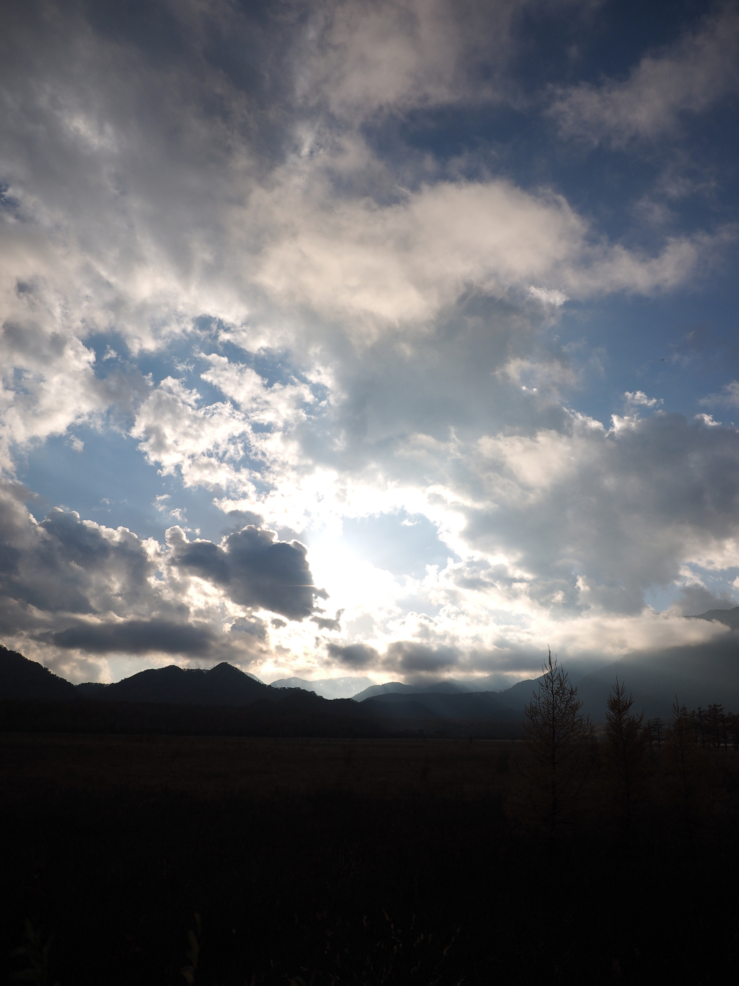 PA180939.jpg