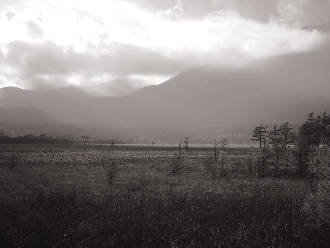 PA180943.jpg