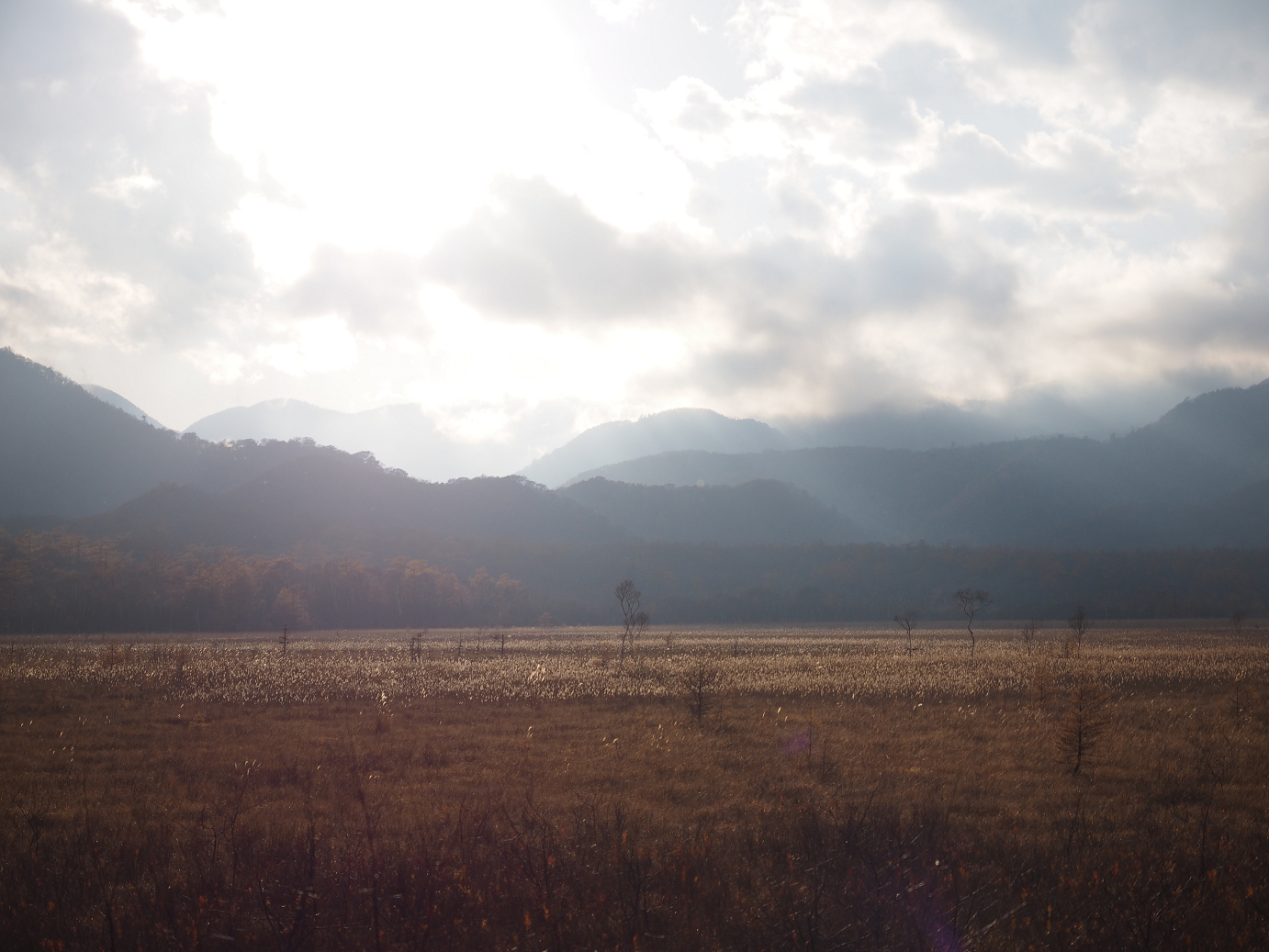 PA180953.jpg