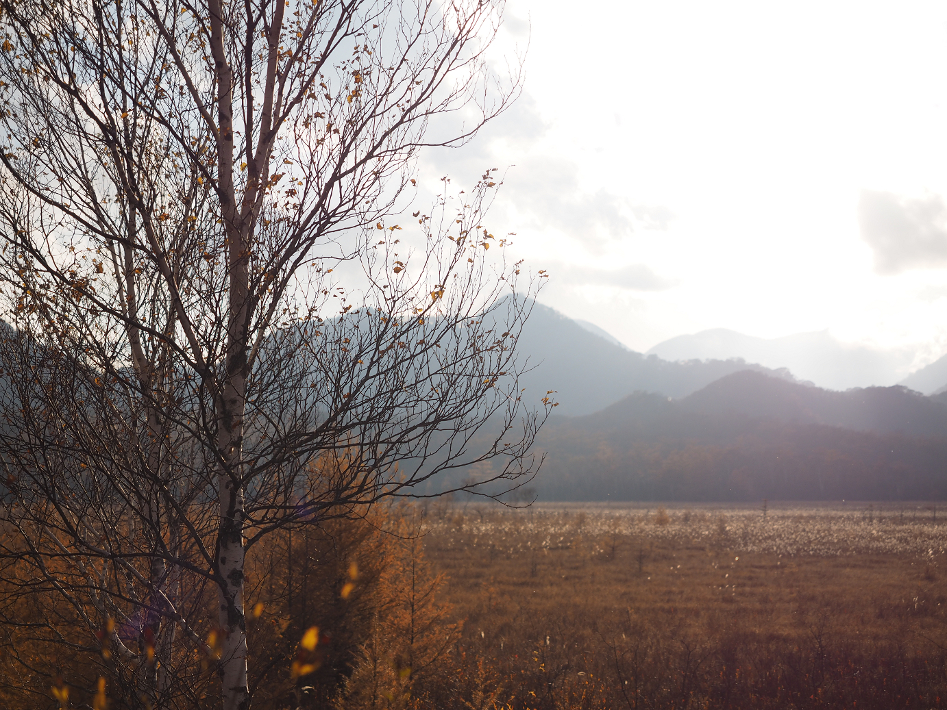 PA180960.jpg