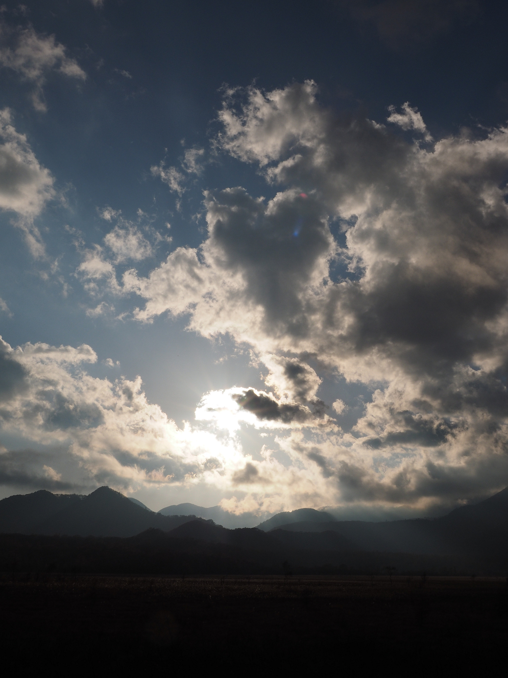 PA180967.jpg