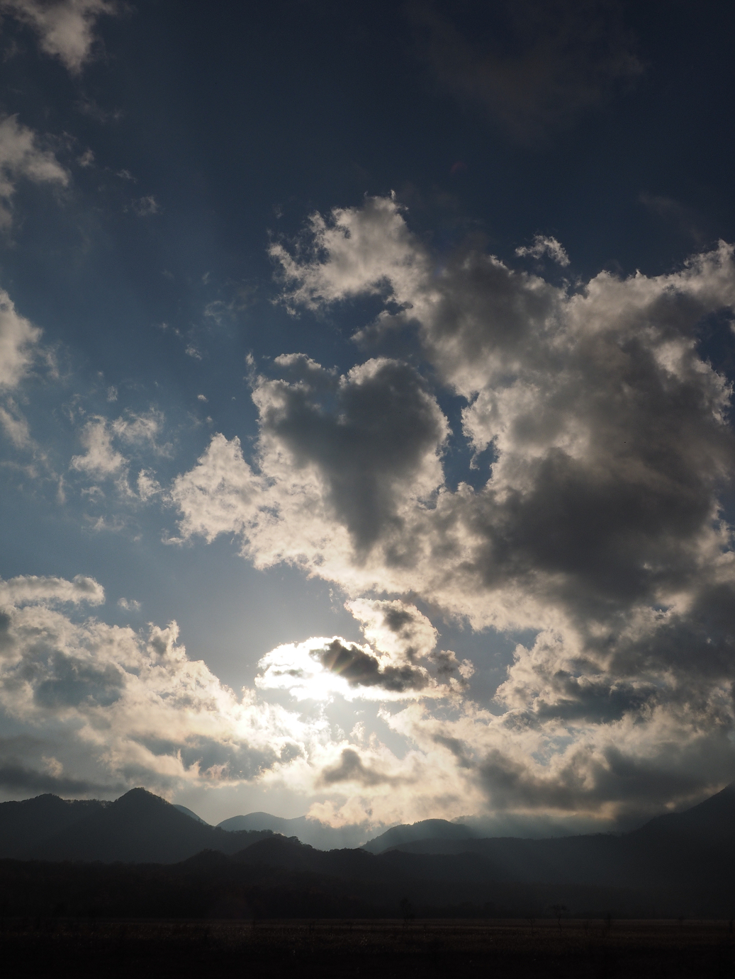 PA180970.jpg