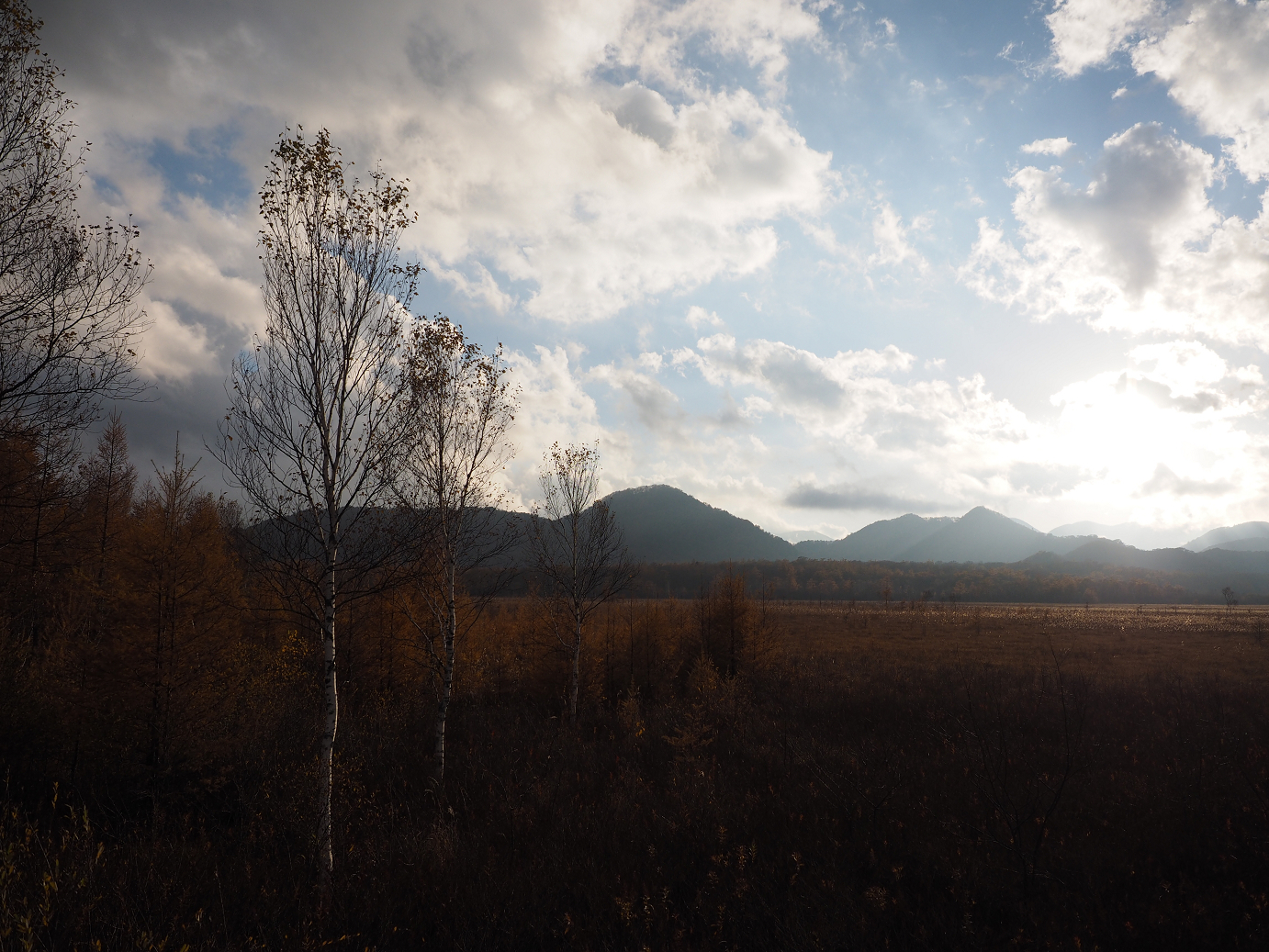 PA180972.jpg