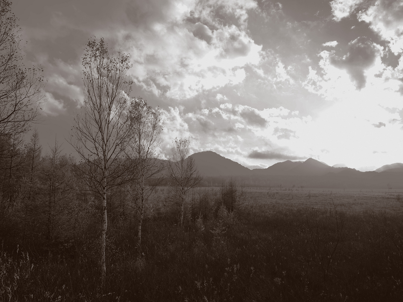 PA180973-.jpg