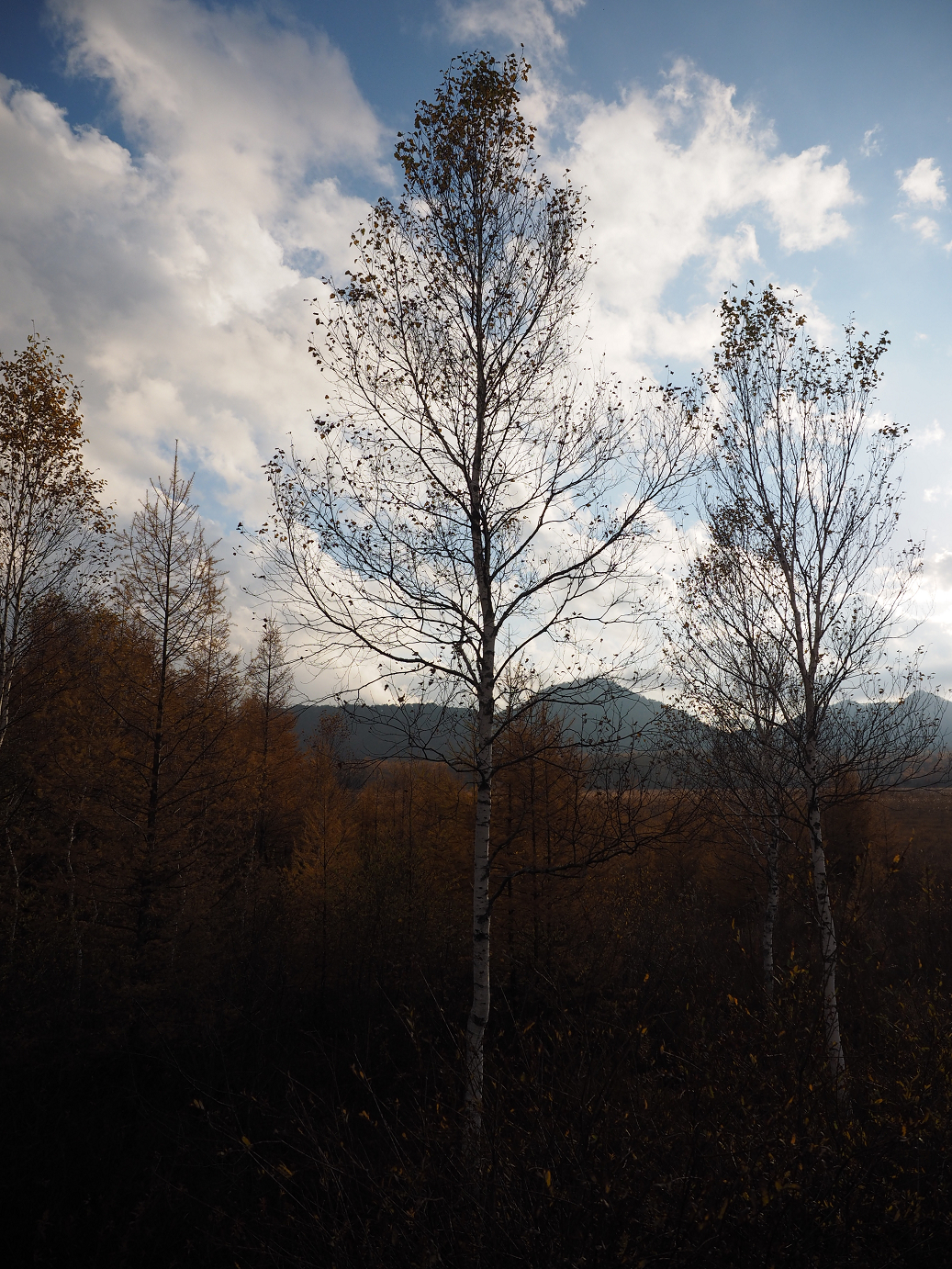 PA180985.jpg