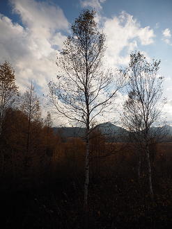 PA180985_thumb.png