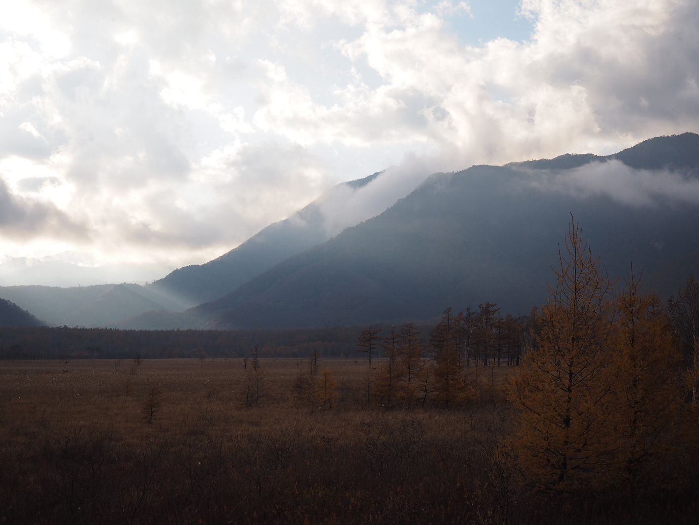 PA180988.jpg