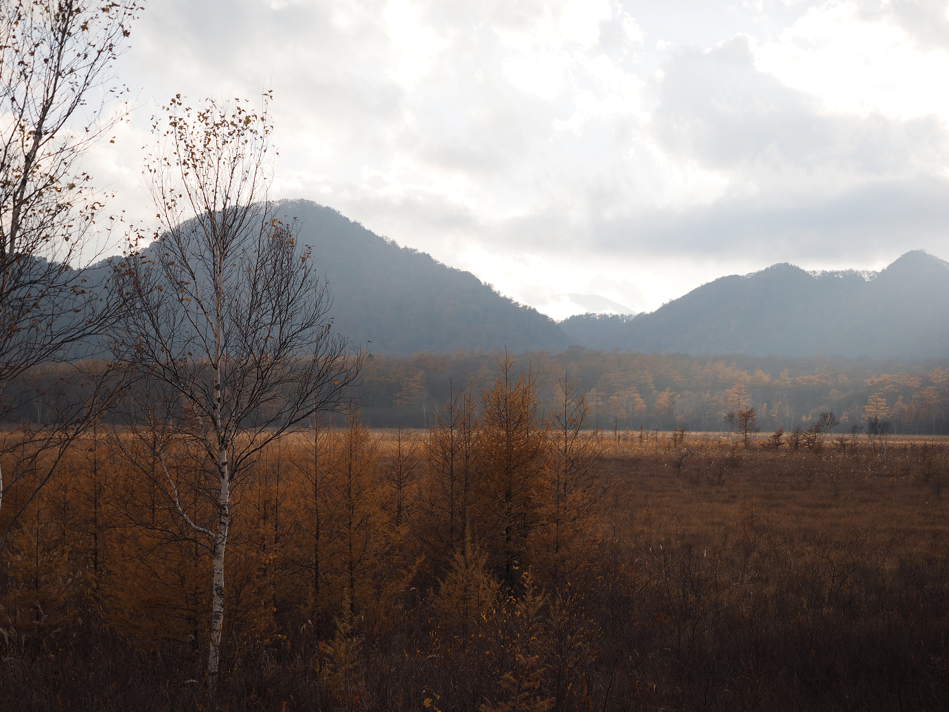 PA180989.jpg