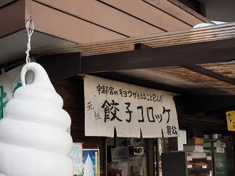 PA181010_thumb.png
