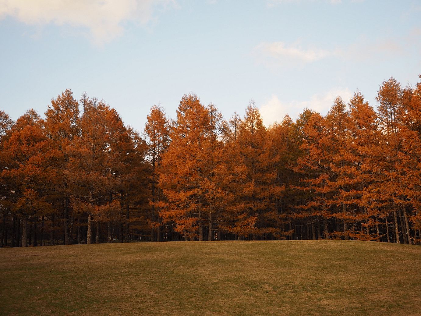 PA181018.jpg