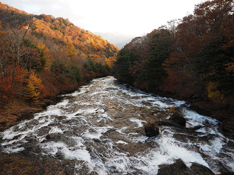 PA181019_thumb.png