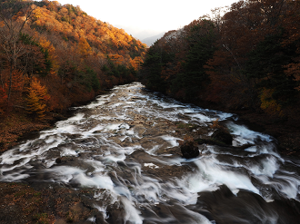 PA181021_thumb.png