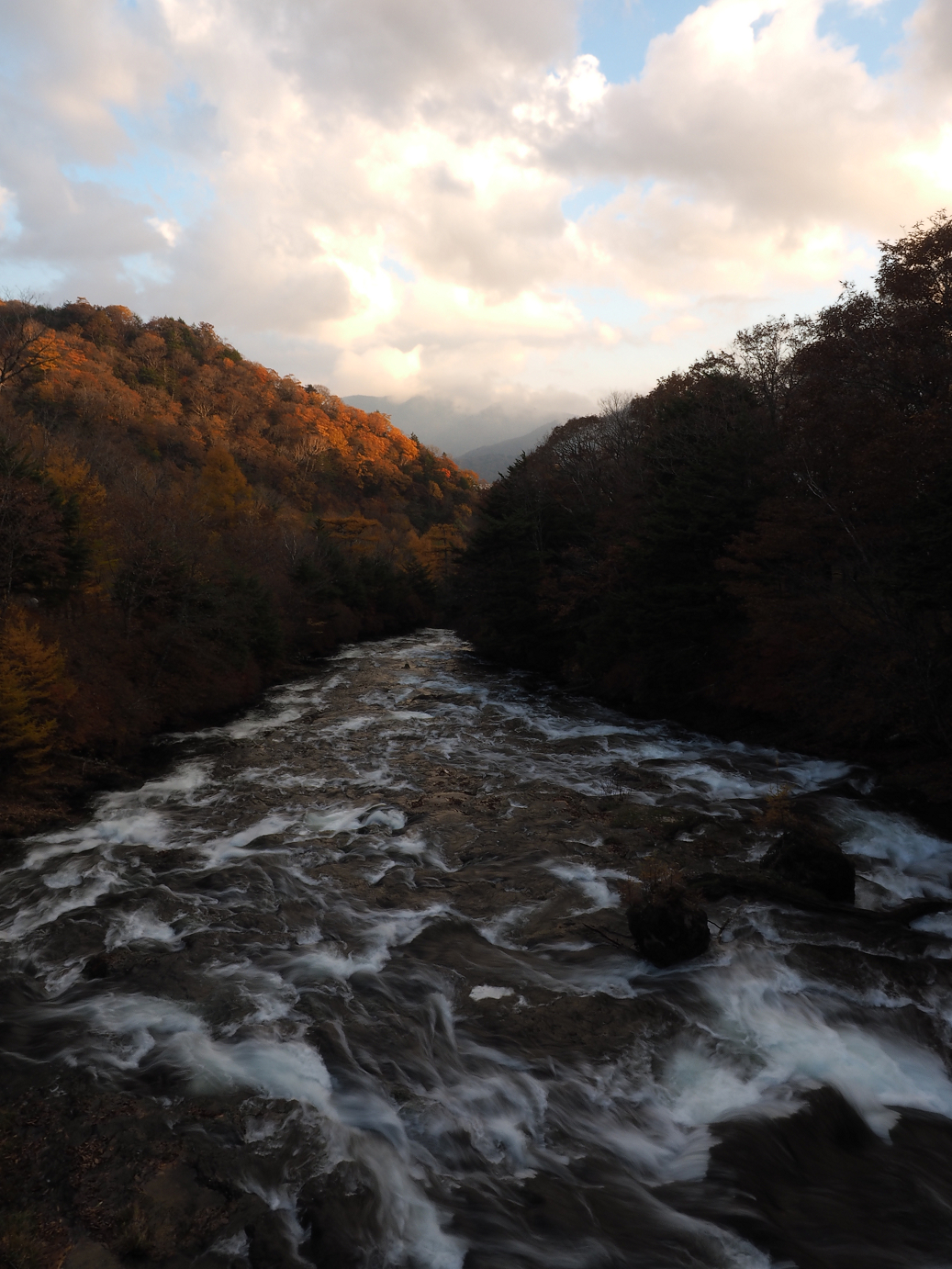 PA181022.jpg