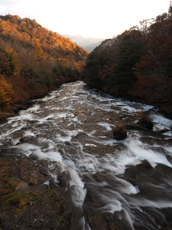 PA181023_thumb.png