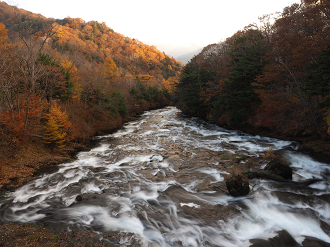 PA181029_thumb.png