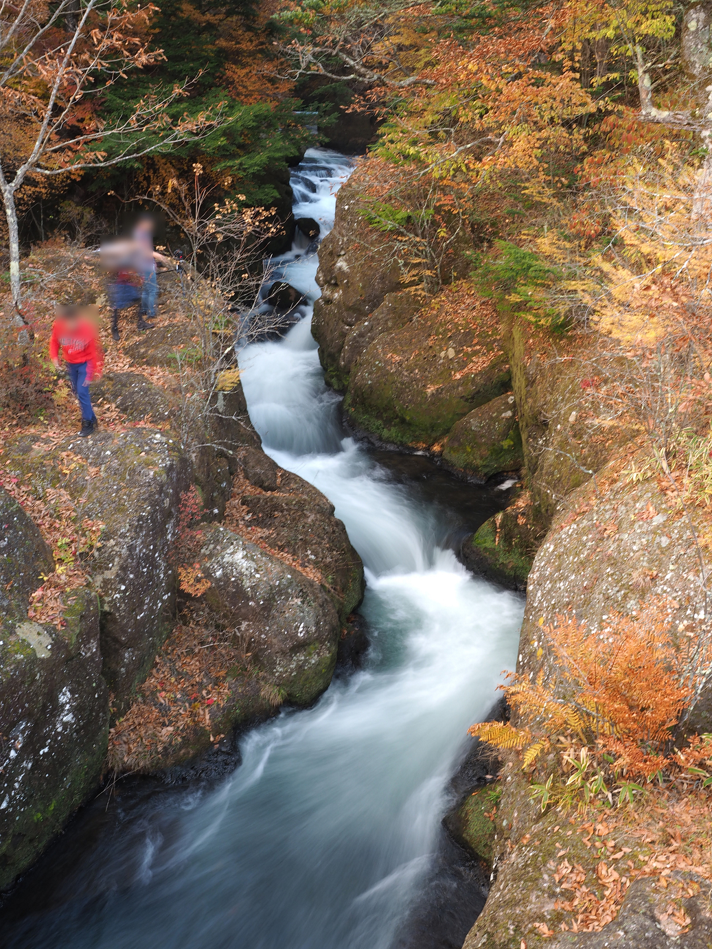 PA181032.jpg