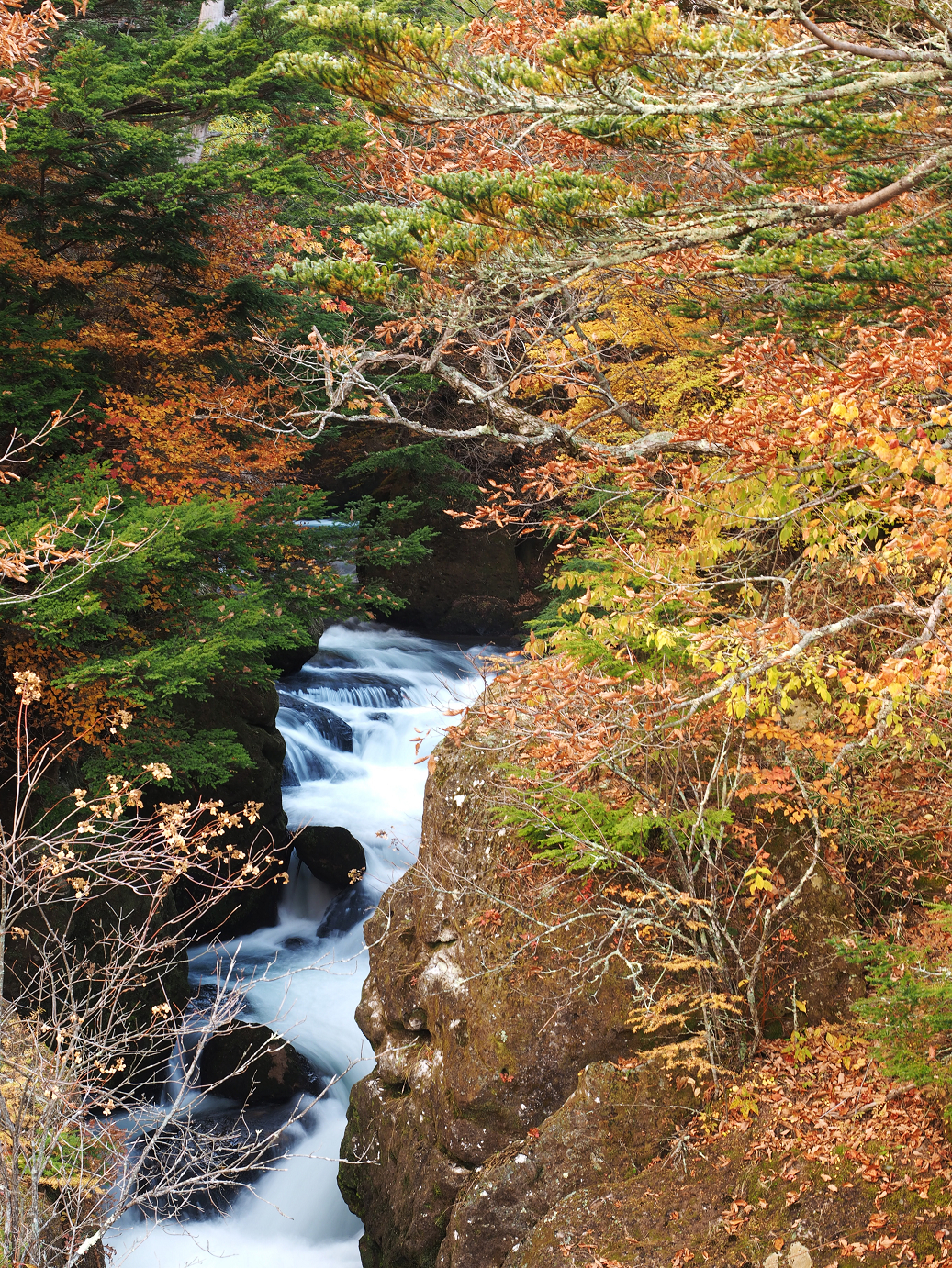 PA181036.jpg