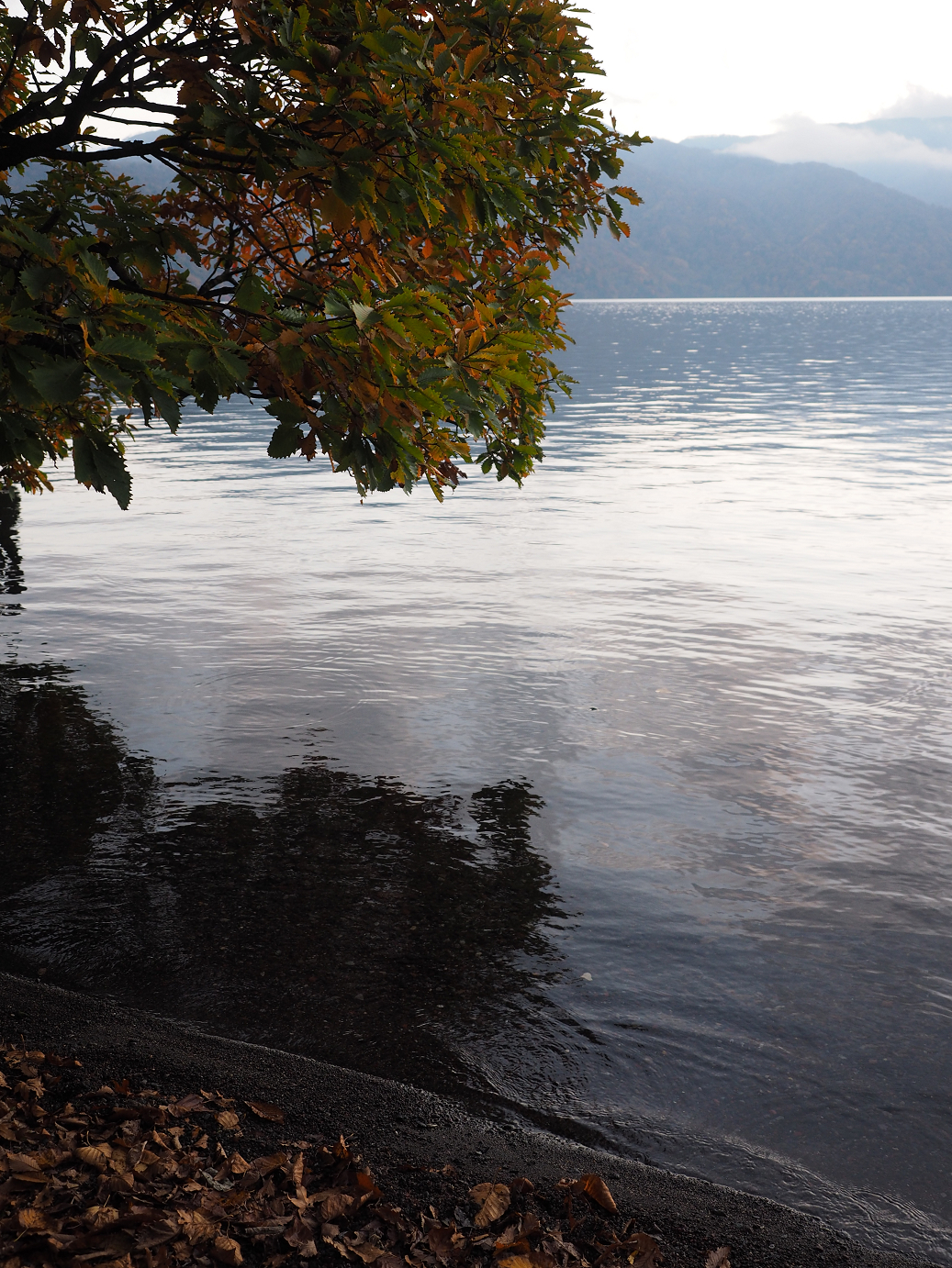 PA181071.jpg