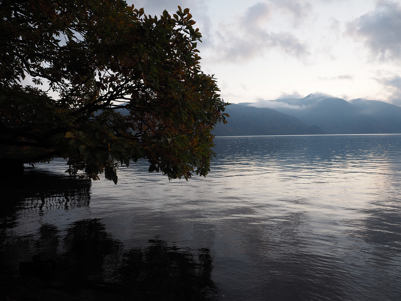 PA181072.jpg