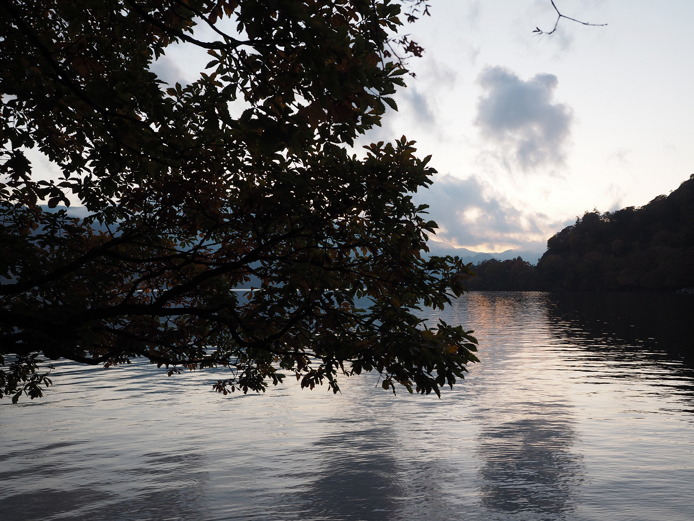PA181073.jpg