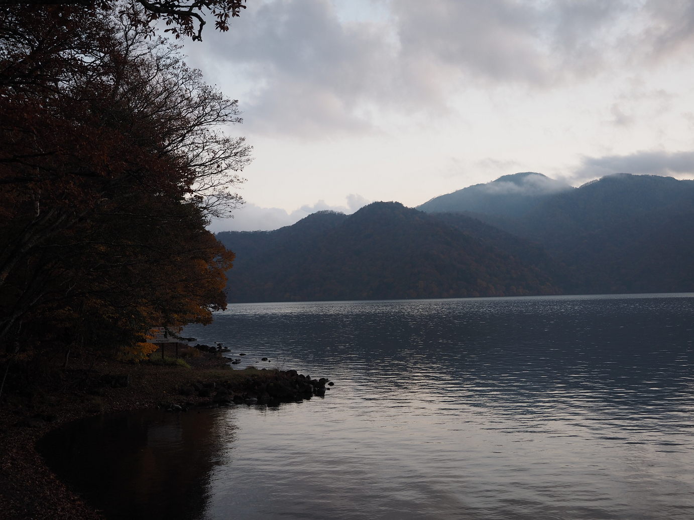 PA181074.jpg