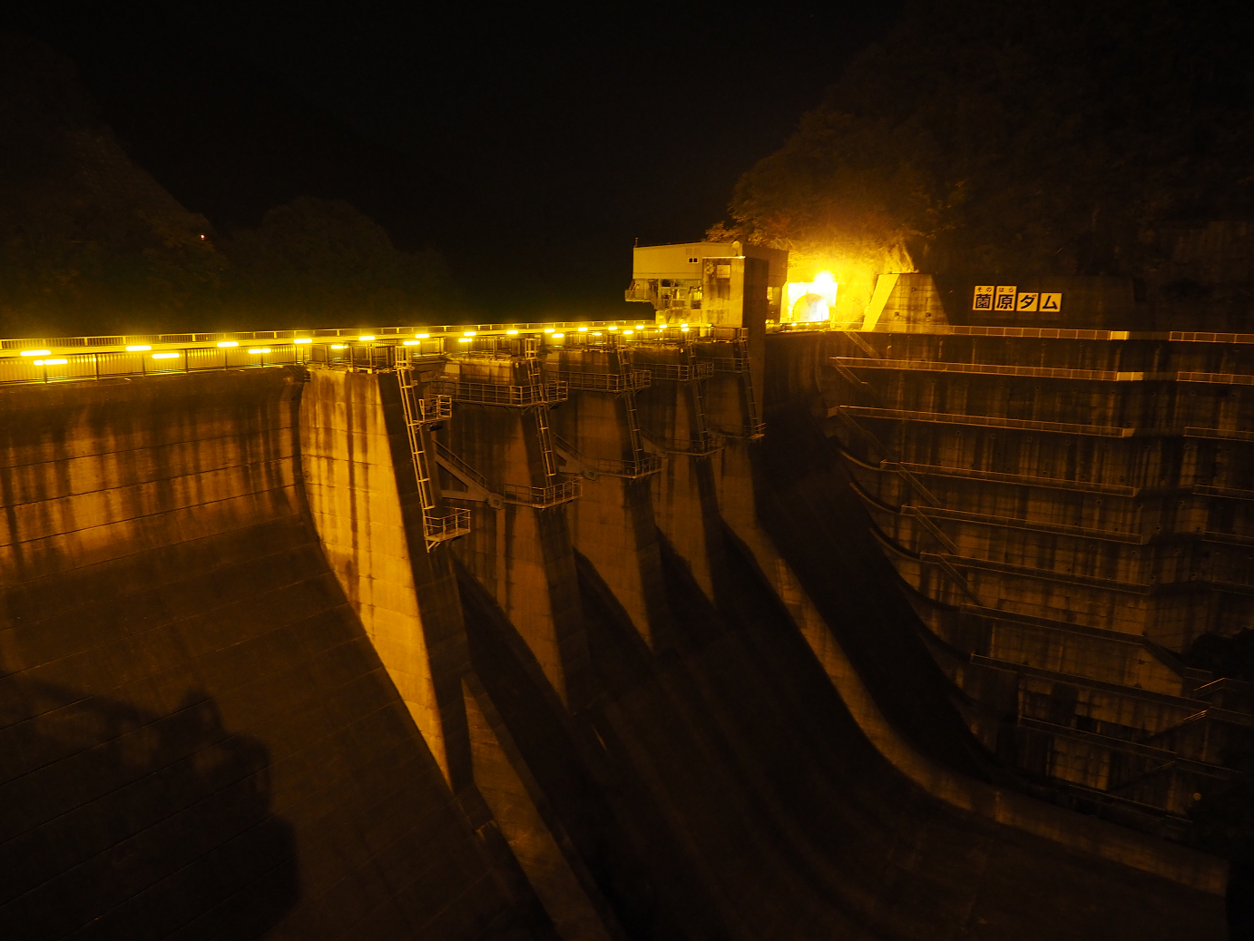 PA181084.jpg