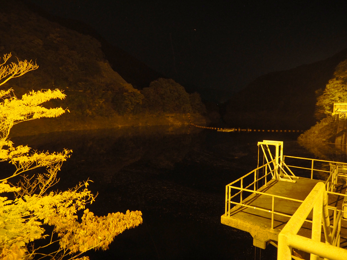PA181089.jpg