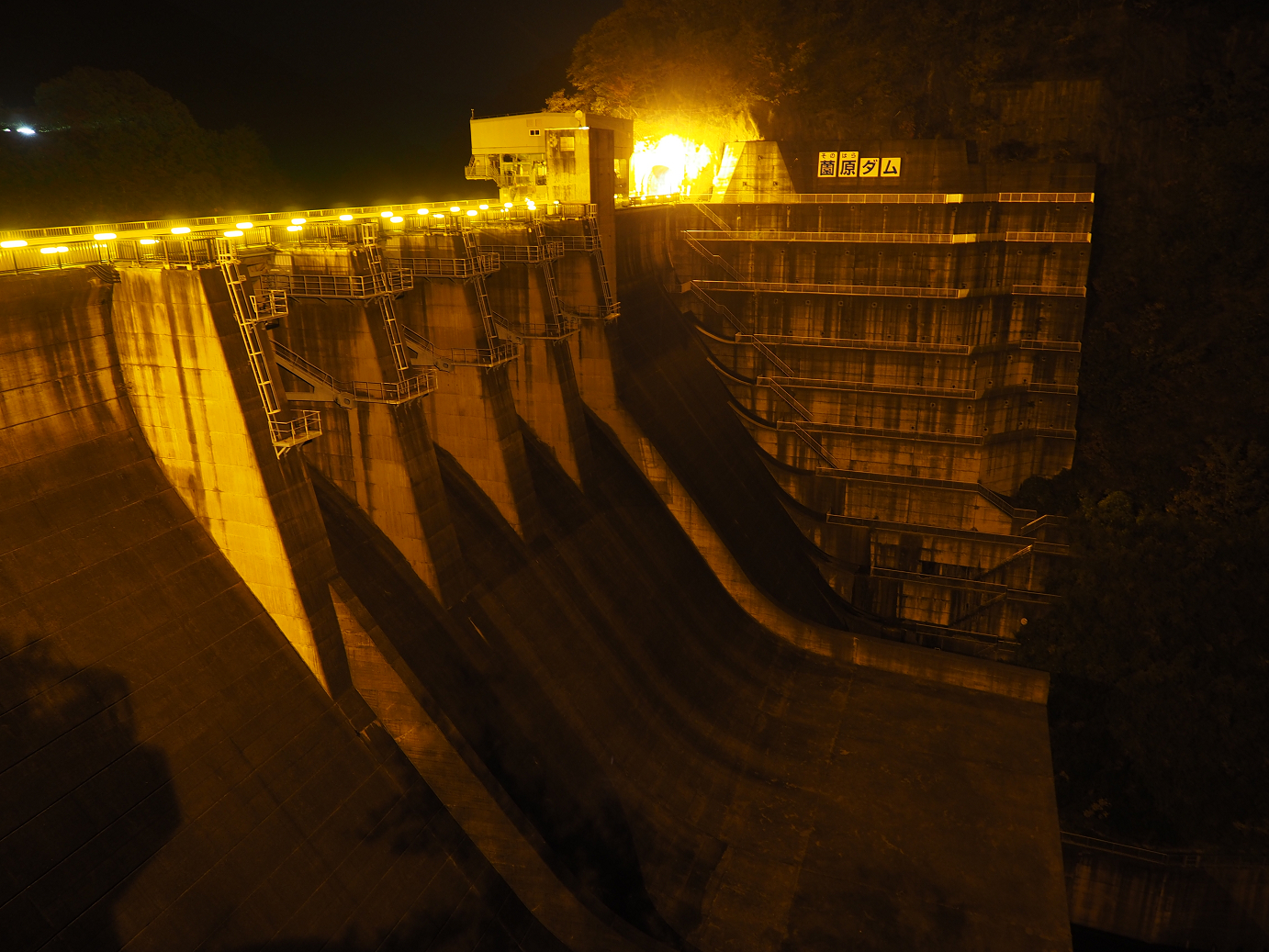 PA181094.jpg