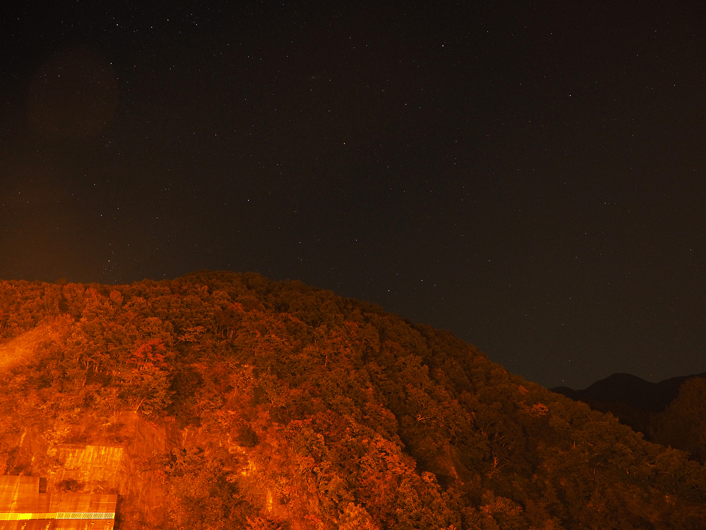 PA181100.jpg