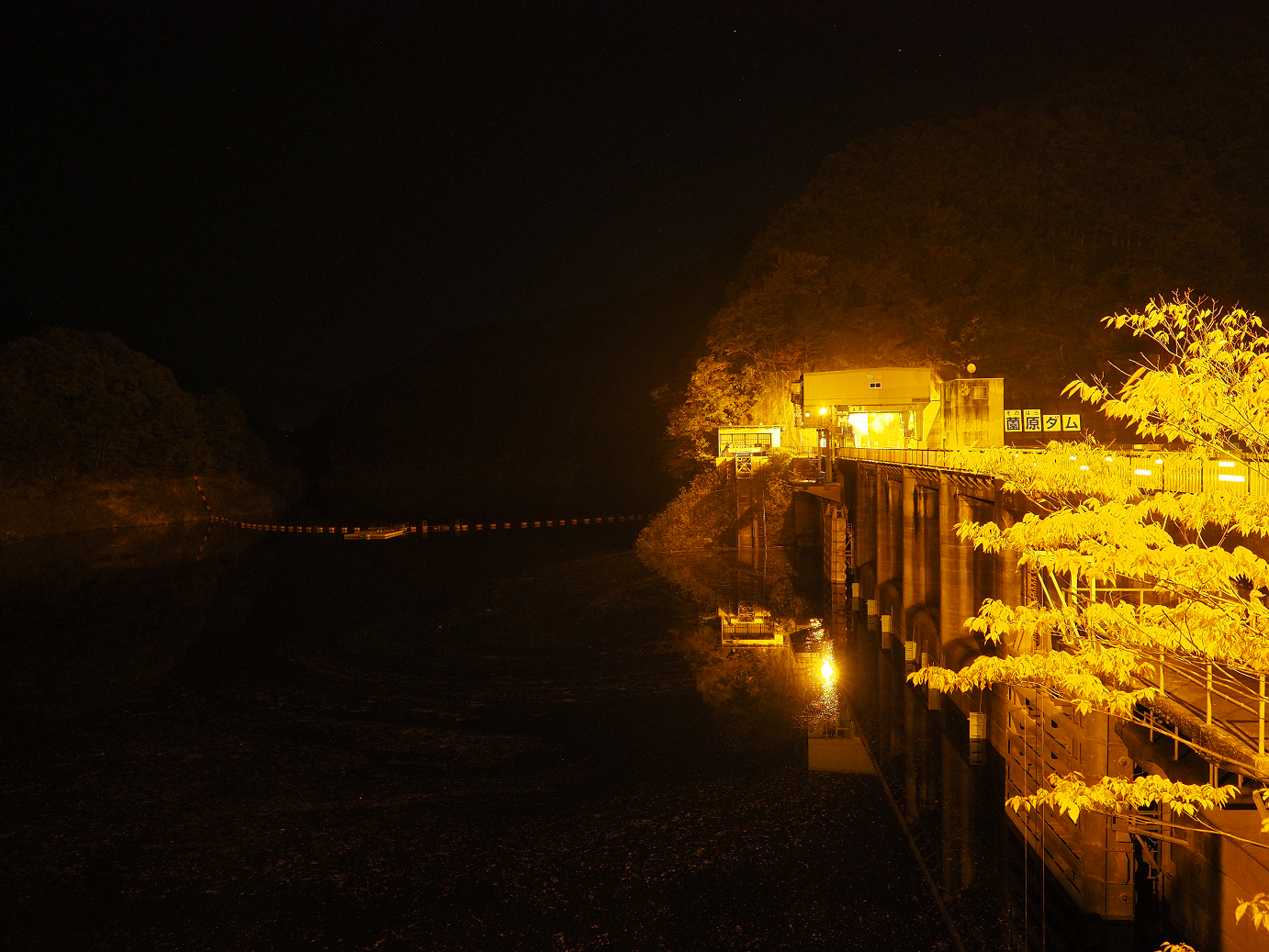 PA181109.jpg