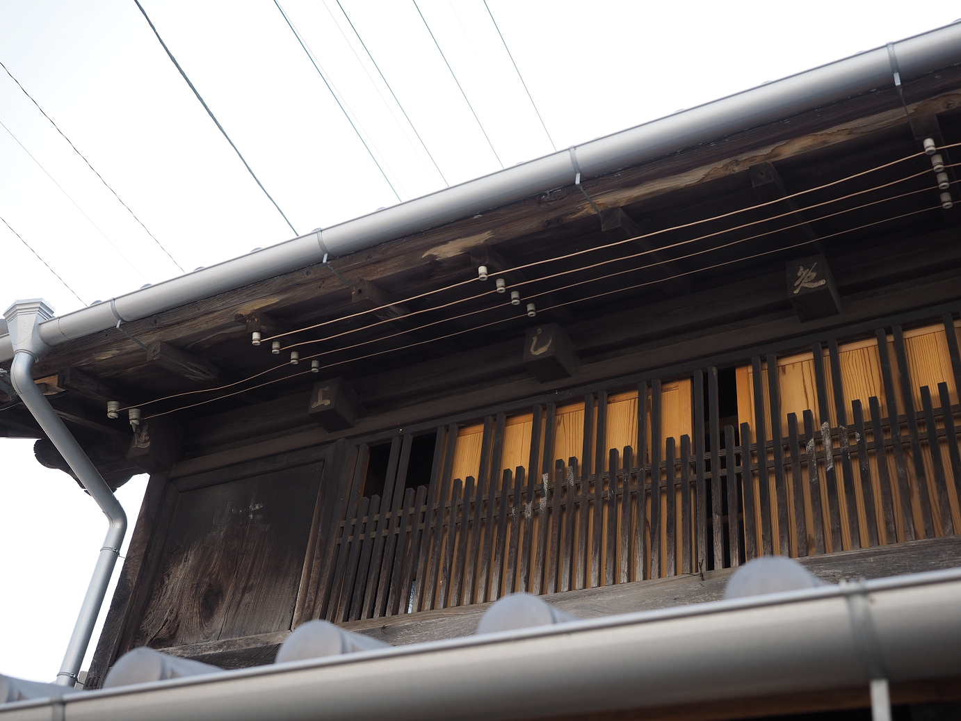 PA240006.jpg