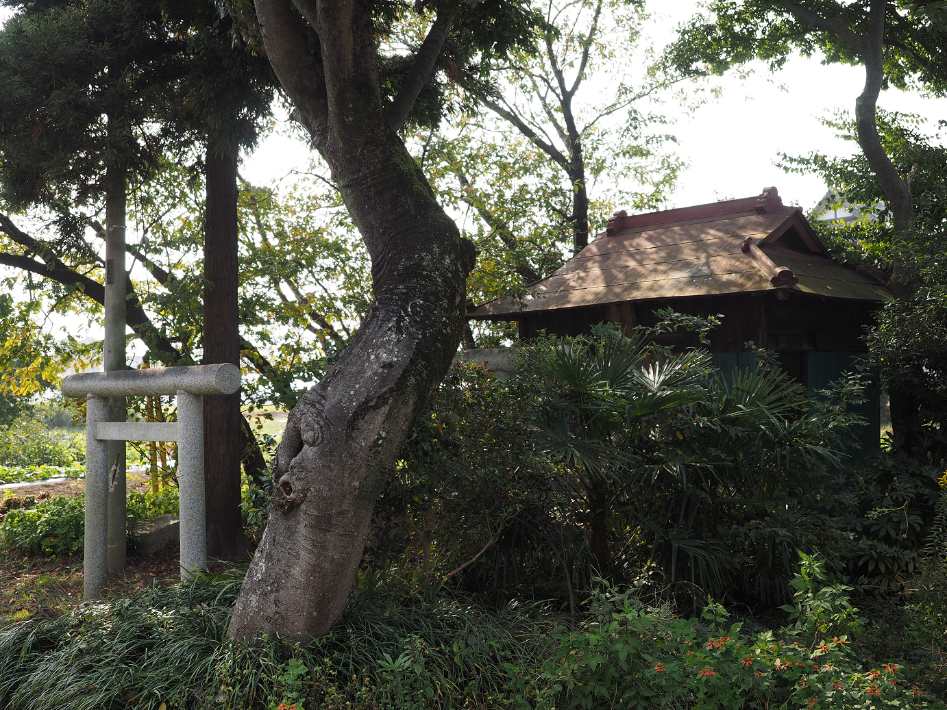 PA240035.jpg