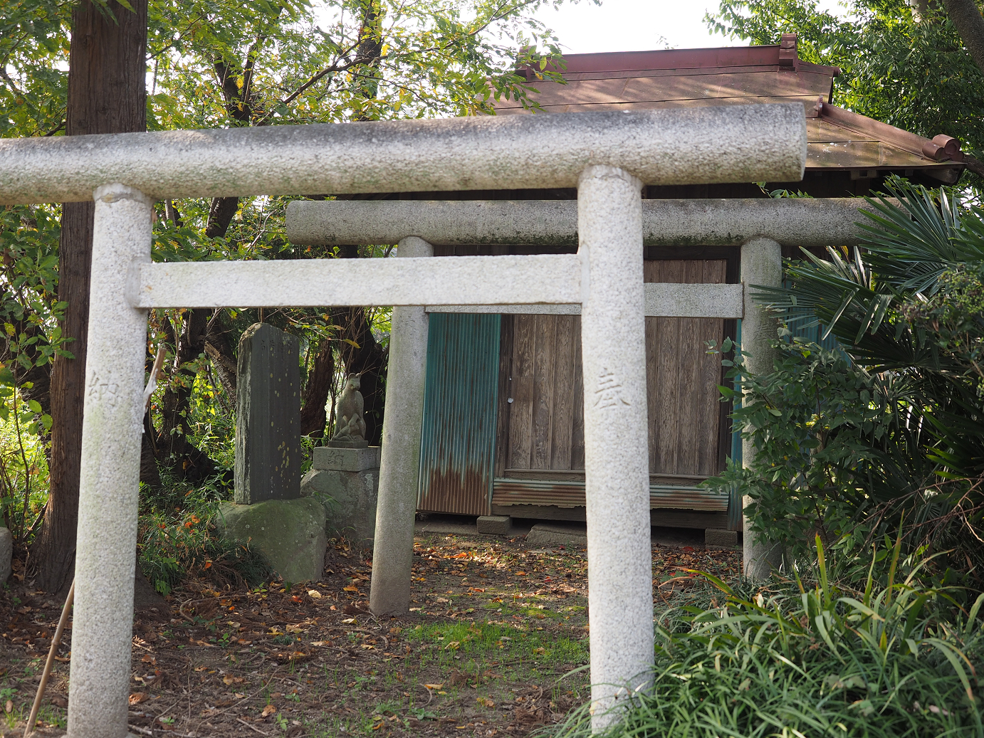 PA240036.jpg