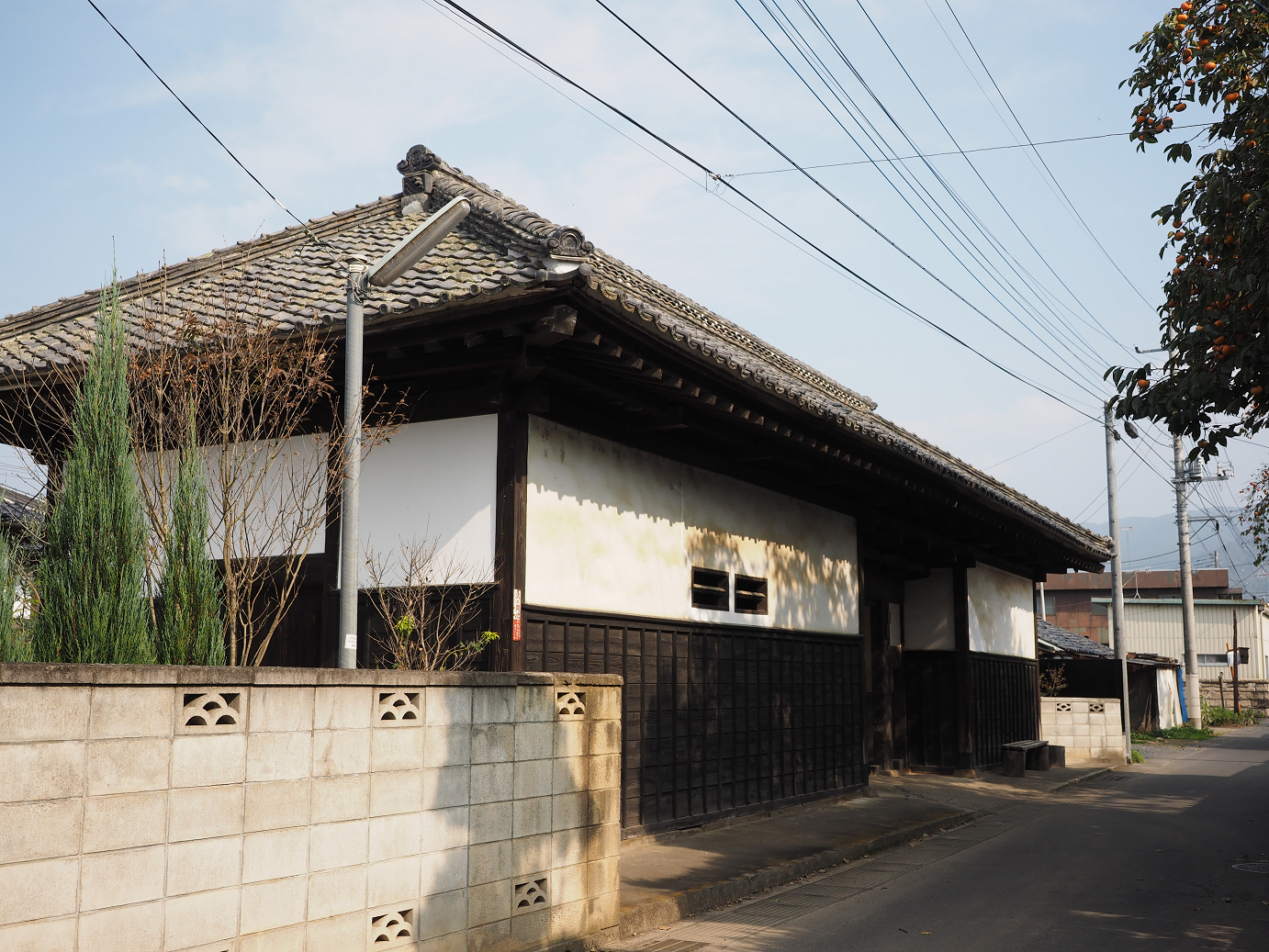 PA240049.jpg