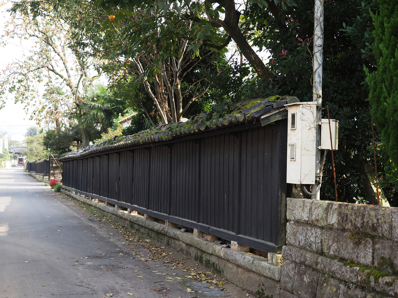 PA240050.jpg