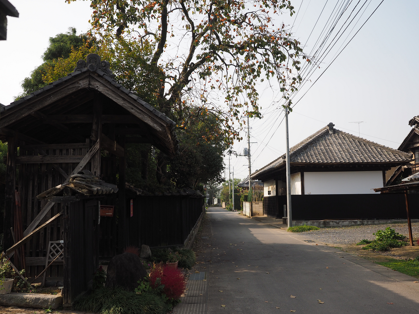 PA240067.jpg