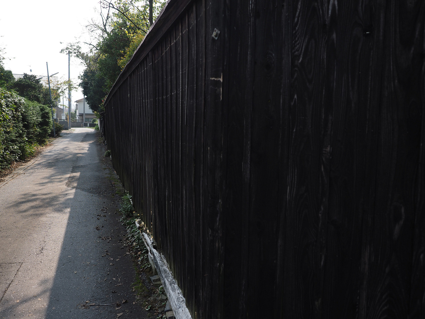 PA240068.jpg