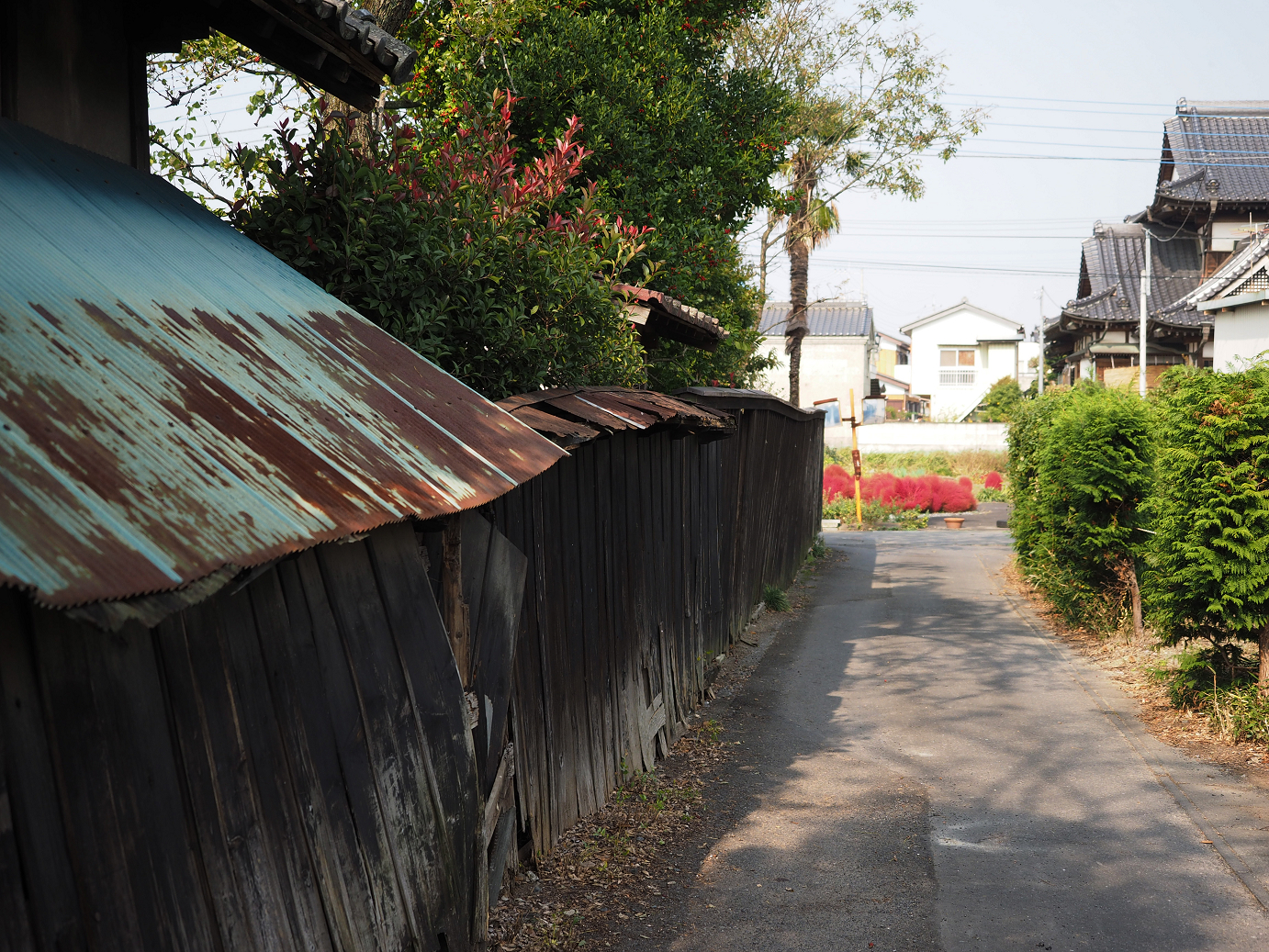PA240070.jpg