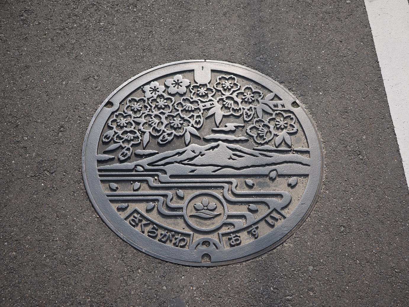 PA240075.jpg