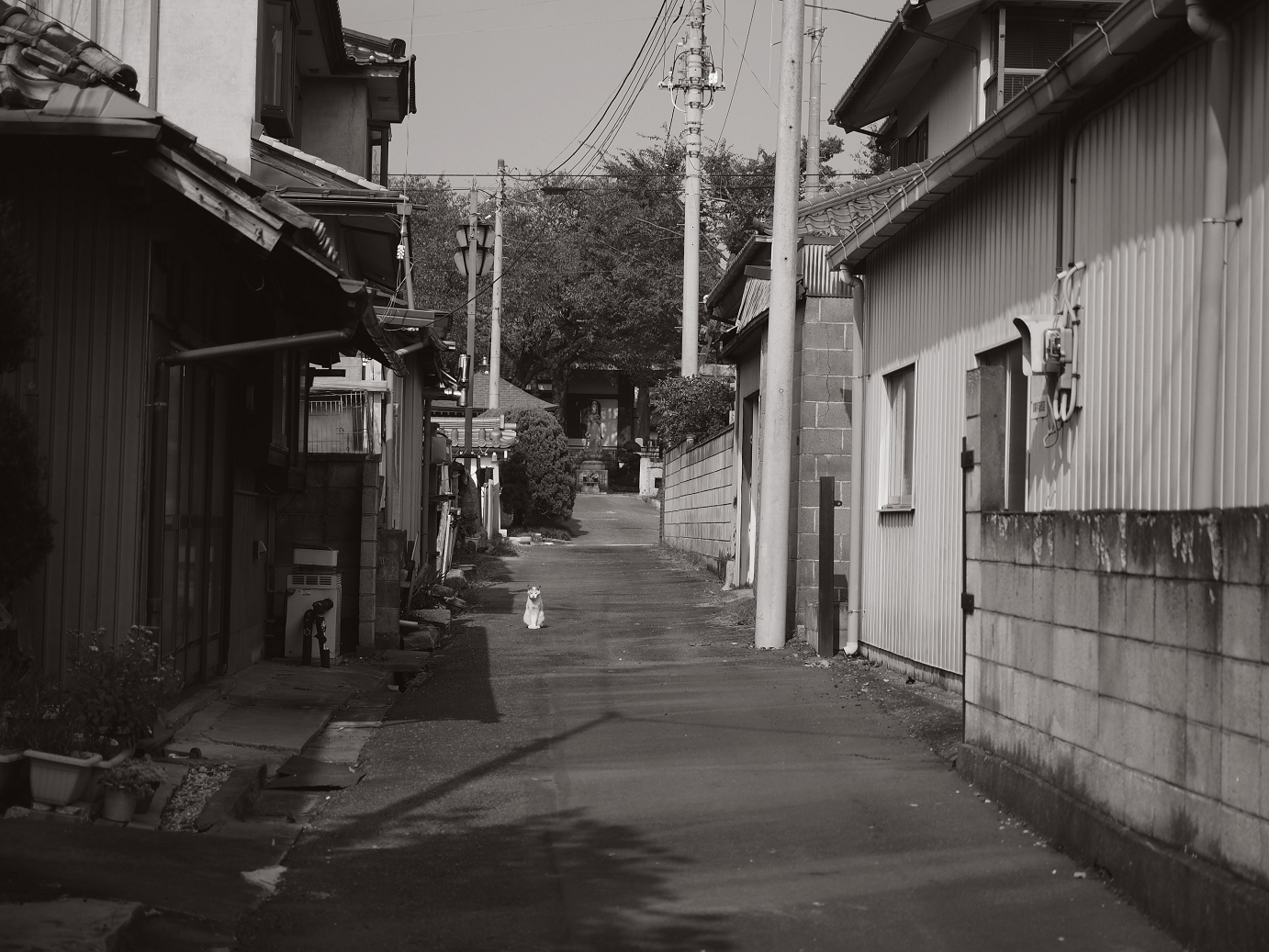 PA240081.jpg