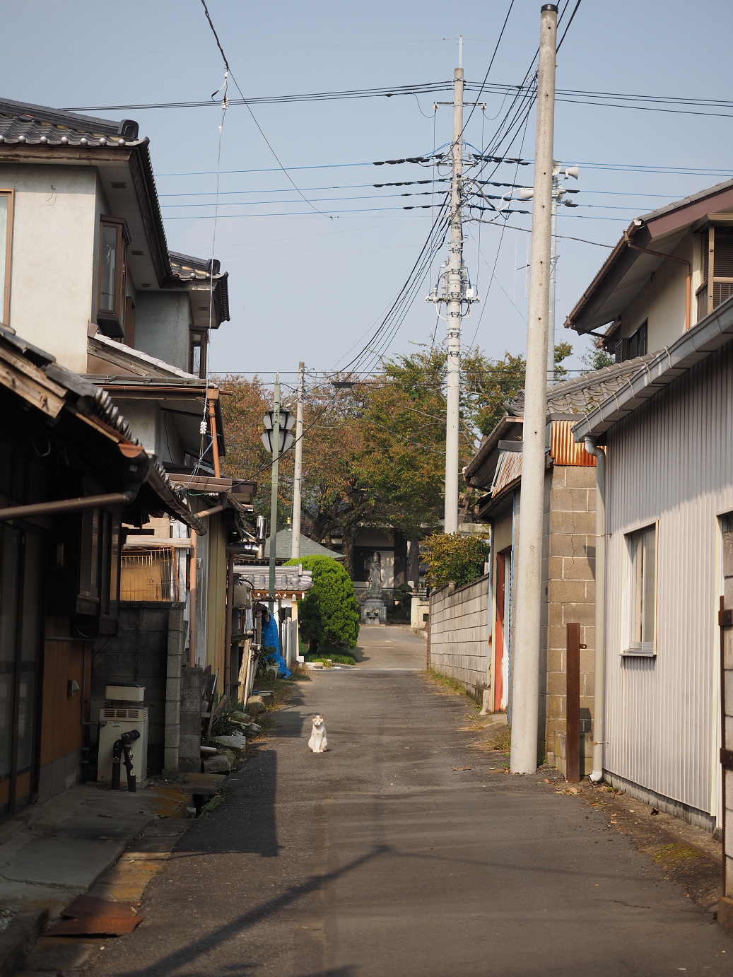PA240082.jpg