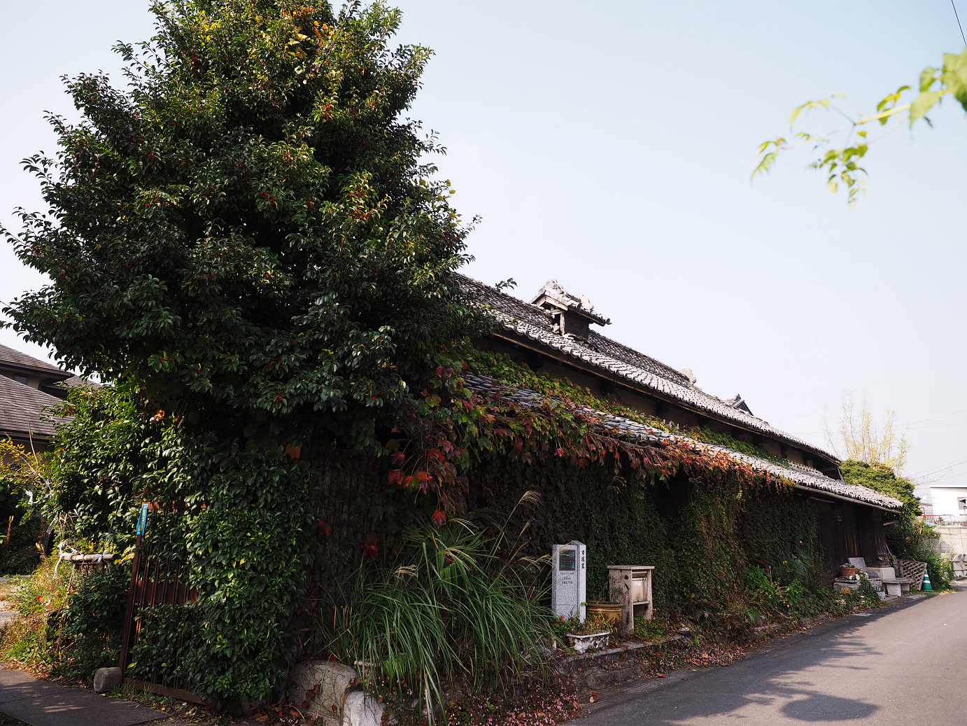 PA240100.jpg