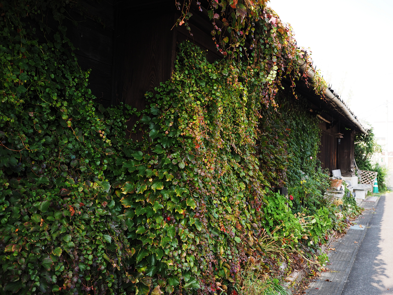 PA240104.jpg
