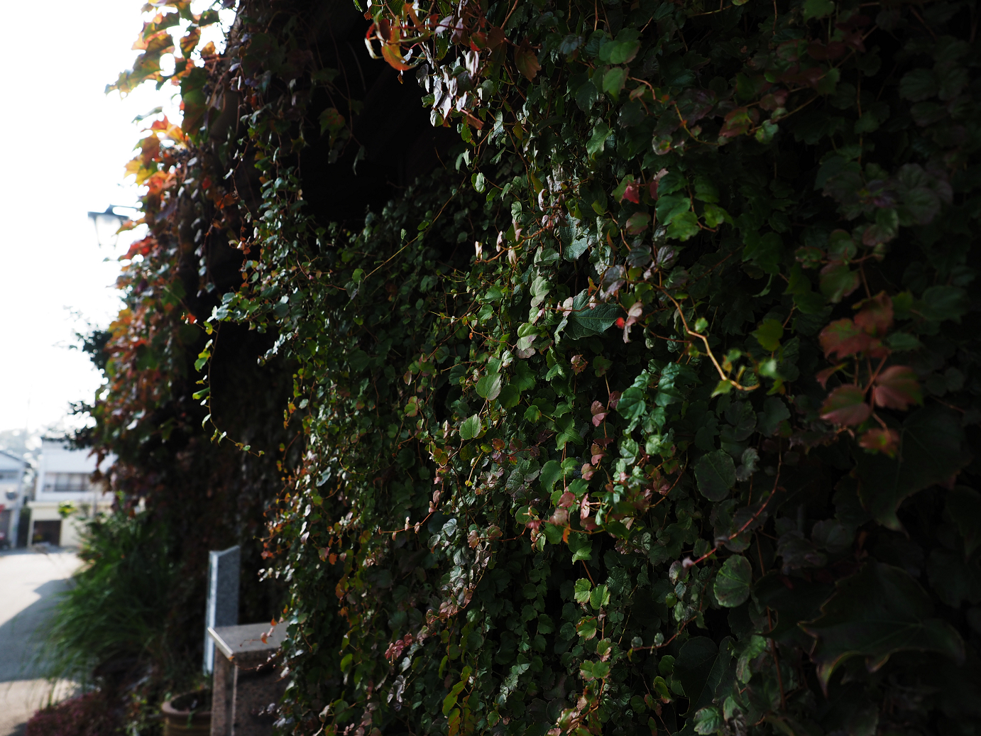PA240107.jpg