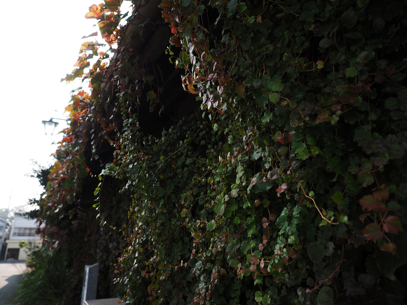 PA240108.jpg