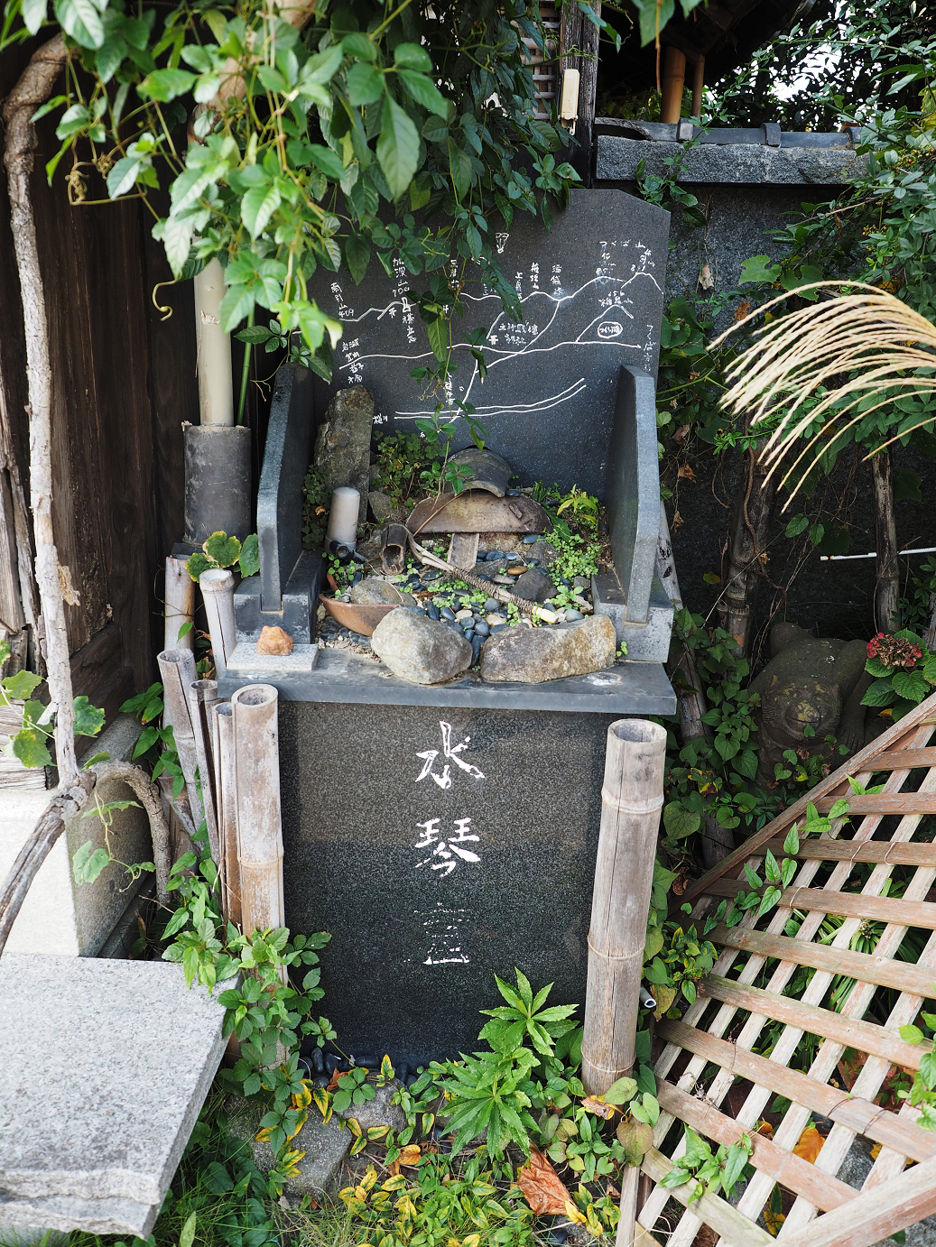 PA240115.jpg
