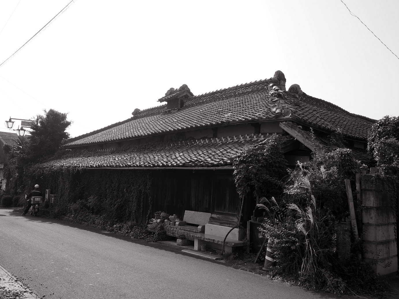 PA240118.jpg