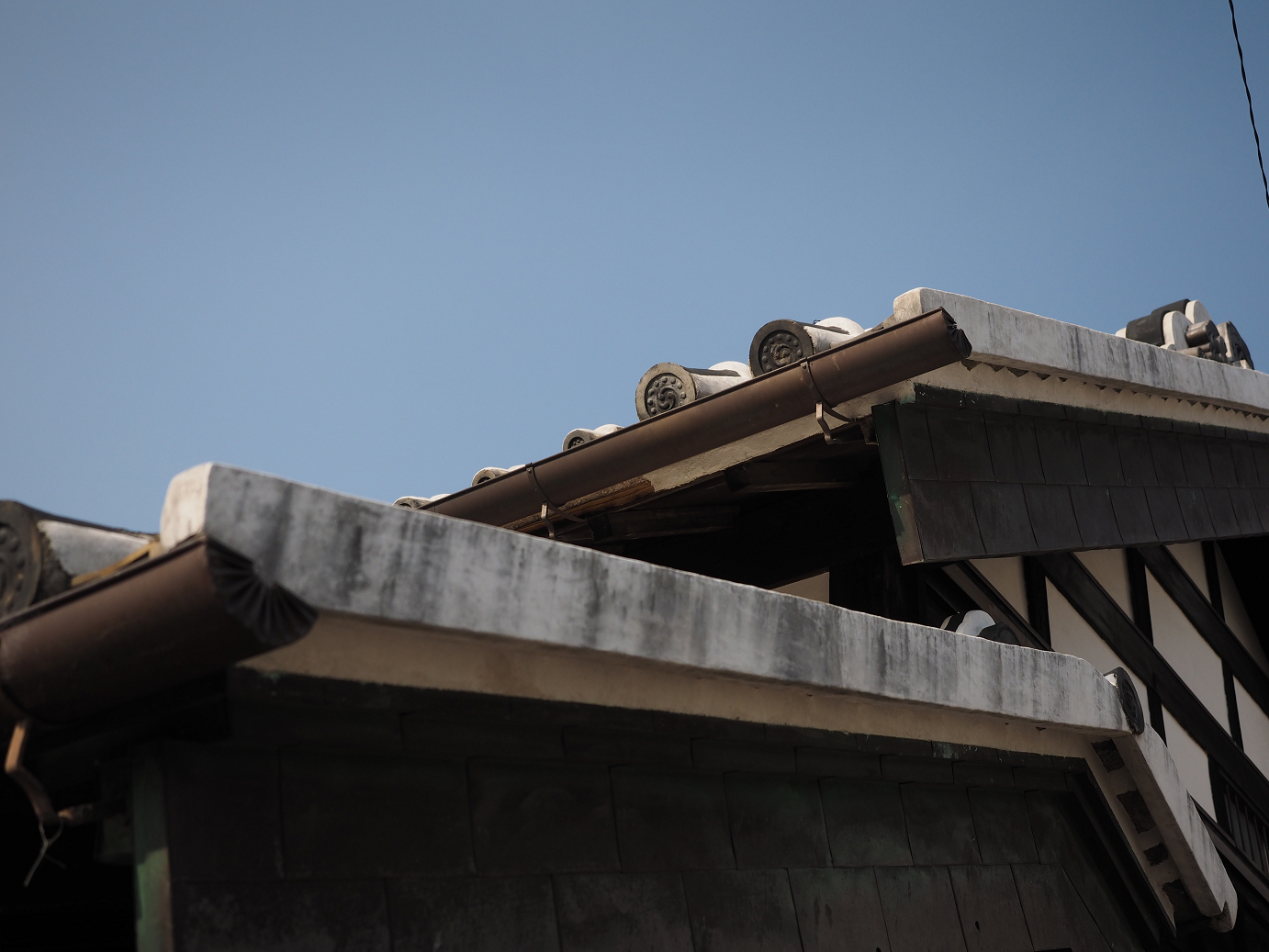PA240125.jpg